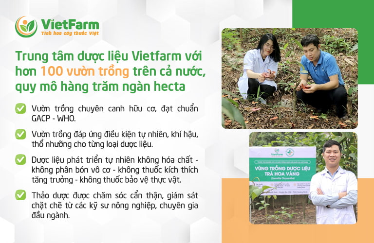 trung tâm dược liệu vietfarm