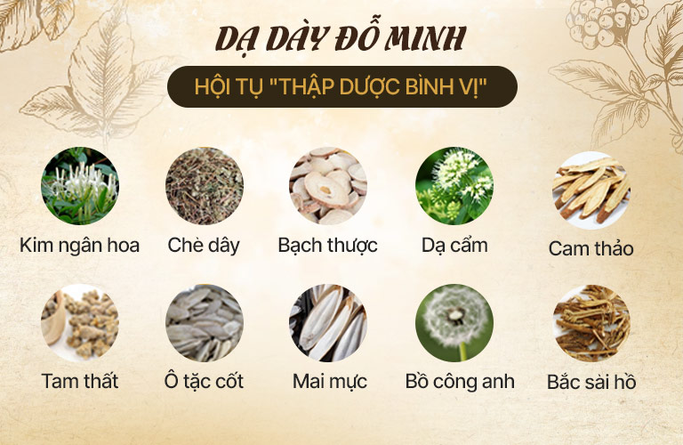 Thành phần bài thuốc Dạ dày Đỗ Minh